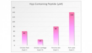 คอลลาเจนจากแหล่งไหนดีที่สุด