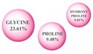 คอลลาเจนคืออะไร