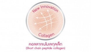 คอลลาเจนโมเลกุลเล็ก (Short chain peptide collagen) จากวิซคอลล่า (Viz-Colla)